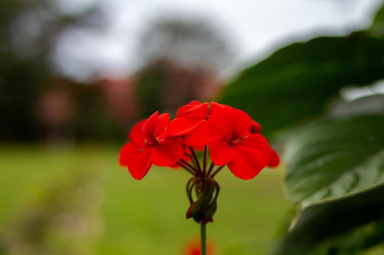 Pousada Rio Vermelho Florianópolis Exteriör bild